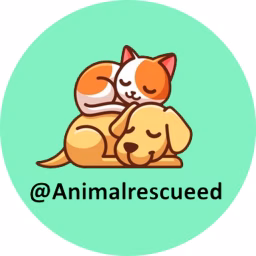 Animal Rescue