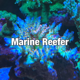 Marine Reefer
