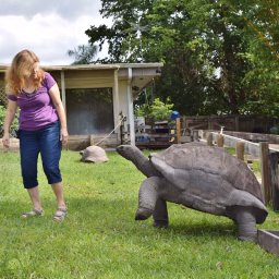 Florida Iguana & Tortoise Breeders