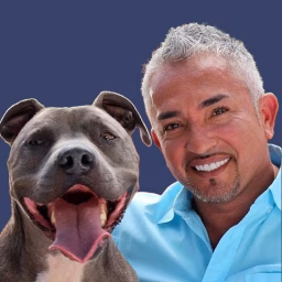 Dog Whisperer with Cesar Millan