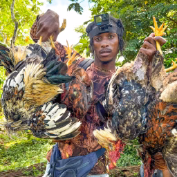 Jamaica Wildlife
