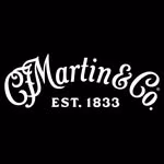 Martin Guitar