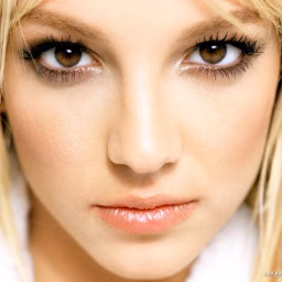 Britney Spears Rare