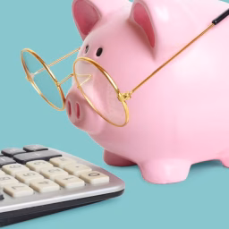 Plan Budget Save
