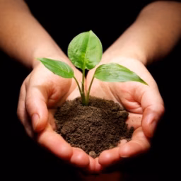 Gardening Story