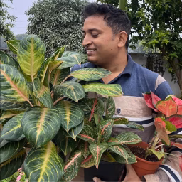 Alok's Gardening Tips & Vlog
