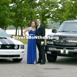 SilveradoNtheStang