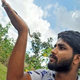 snake animal rescue team