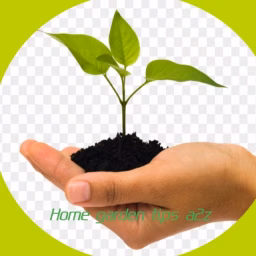 Home Garden Tips A2Z