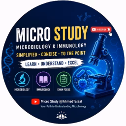 Microstudy (Microbiology lectures)