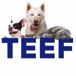 TEEF for Life