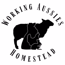 Working Aussies Homestead