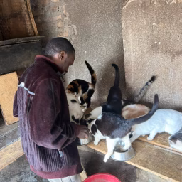 Hassan Animal Rescue shelter