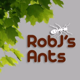 RobJ's Ants