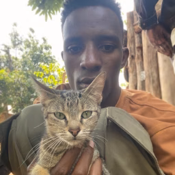 Save Homeless Pets life 
