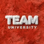 TEAM University
