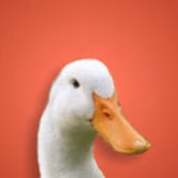 AugustTheDuck