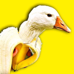 Funny ASMR Videos
