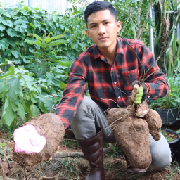 Enjoy Country Life 