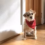 Leroy Milo Brown