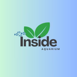 Inside Aquarium 