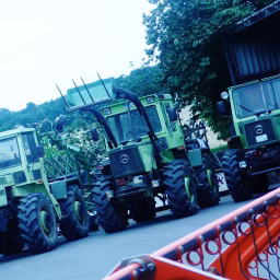 Landwirtschaft in Maibeach - Tims Farmvlogs