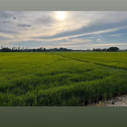 Kroni Ipoh