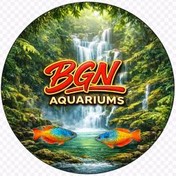BGN Aquariums