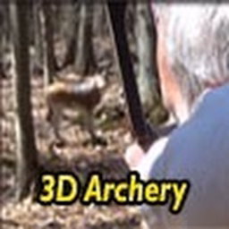 3D Archery