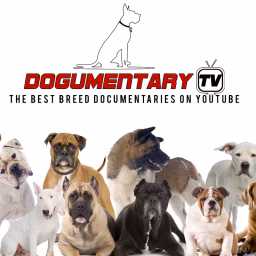 Dogumentary TV