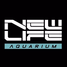 New Life Aquarium