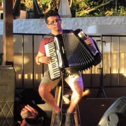 carlinhos acordeon