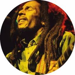 Reggae Songs