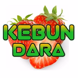 kebun dara