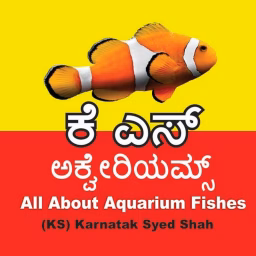 KS Aquariums  ಕನ್ನಡ