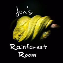 Jon's Rainforest Room