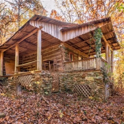 Saving The Cabin