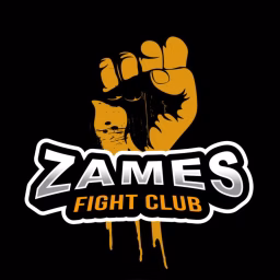 ZAMES