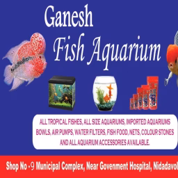 Ganesh Fish Aquarium Nidadavolu