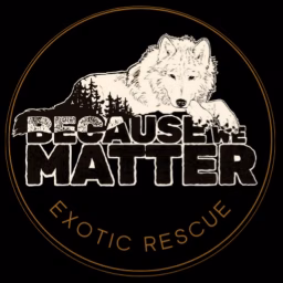 Because We Matter Exotic Rescue 