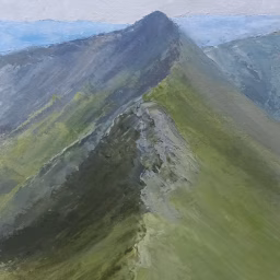 Dafydd Timothy