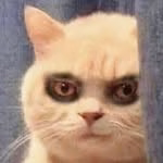 kacha
