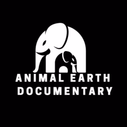 Animal Earth Documentary