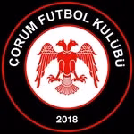 Arca Çorum FK