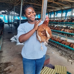 Poultry With Modupe