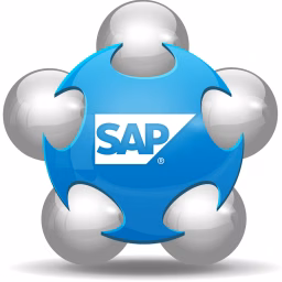 SAP MM Consultant