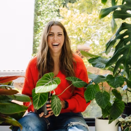 Happy Happy Houseplant
