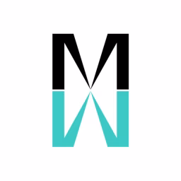 Metis Strategy