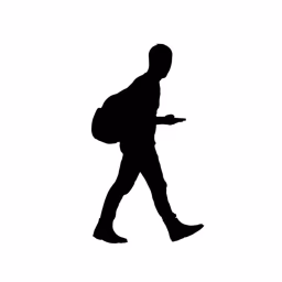 Still Walking