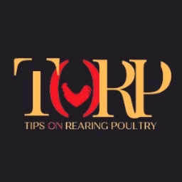 Tips on rearing poultry